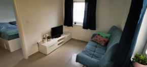 Apartment MINT, Senec
